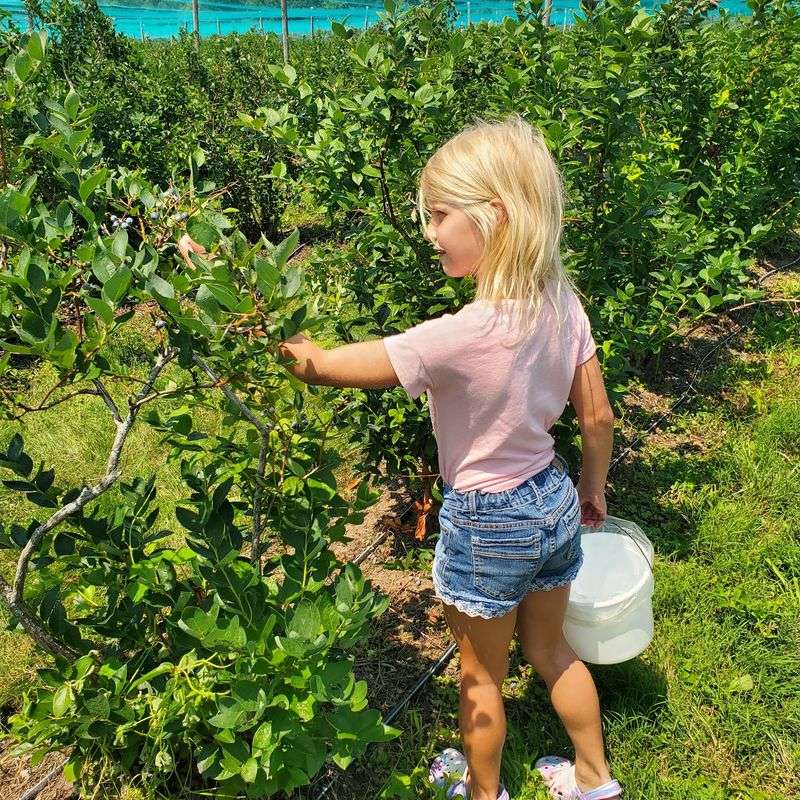 A Family-Owned Labor of Love