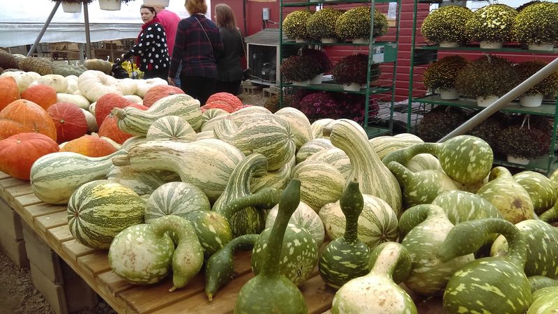 A Farm Market That Smells Like Autumn