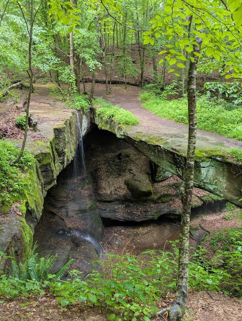 A Forest Trail With a Real Payoff