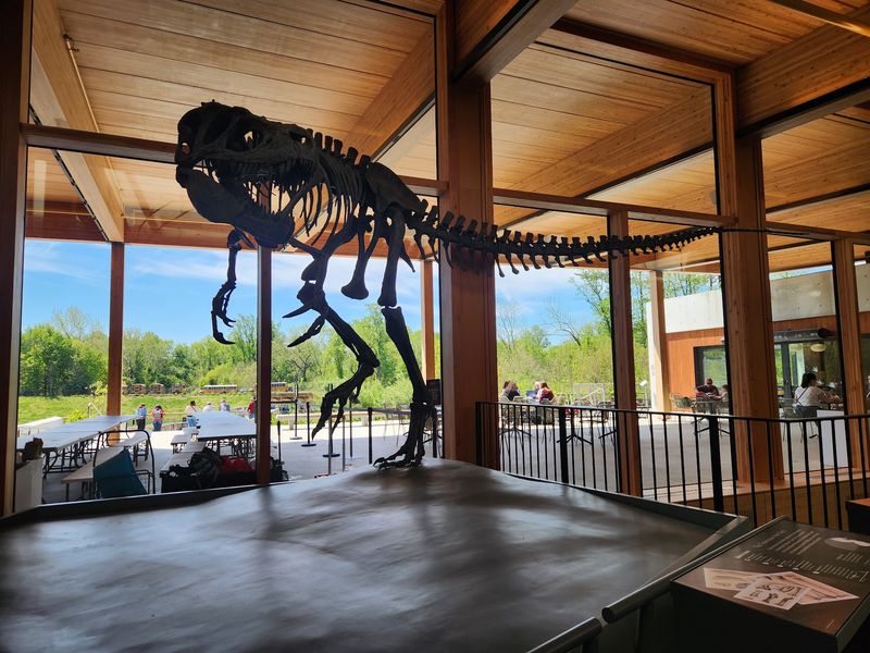 A Fossil Museum Without Fossil Fuels A Fossil Museum Without Fossil Fuels