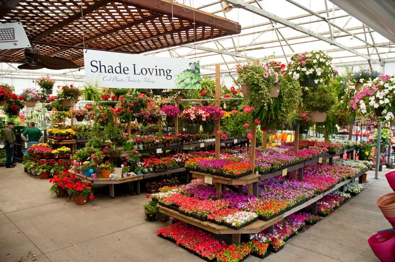 A Garden Center With Really Deep Roots