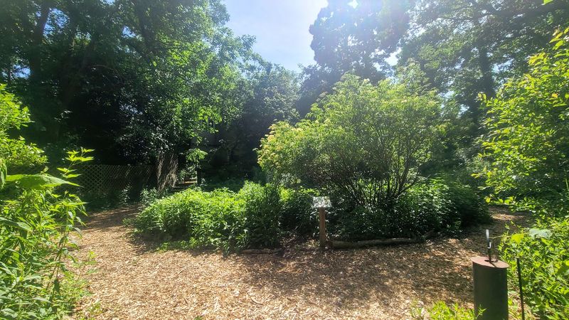 A Garden Planted Specifically For Butterflies