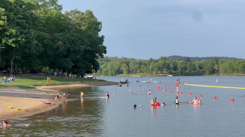 A Gentle Slope Made for Little Swimmers