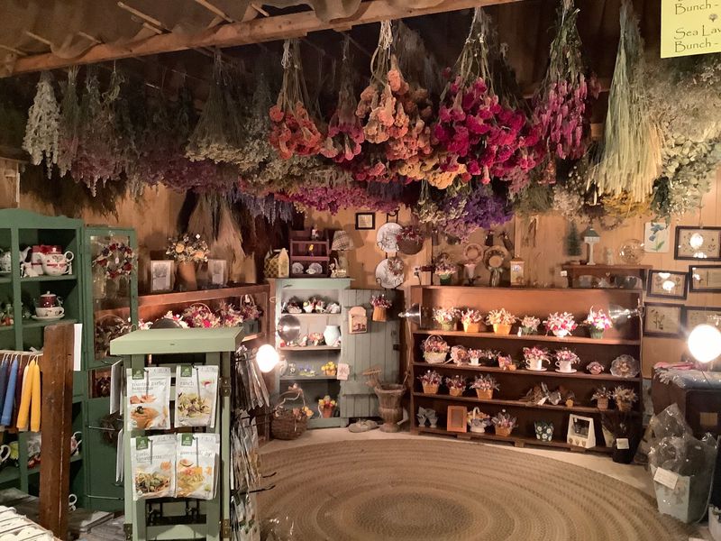 A Gift Shop Full Of Dried Flowers And Fragrance A Gift Shop Full Of Dried Flowers And Fragrance