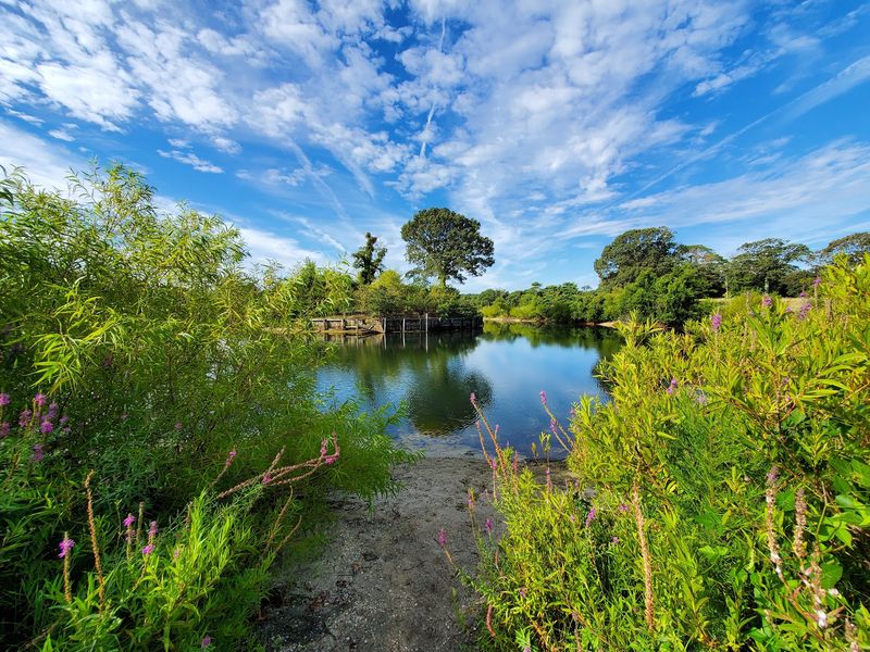 A Golf Course That Traded Its Greens For Wilderness