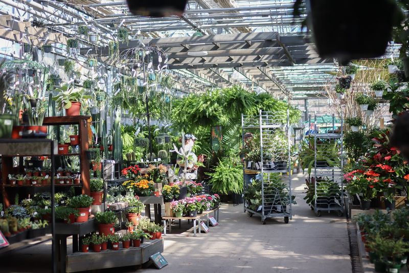 A Greenhouse That Swallows Your Whole Afternoon