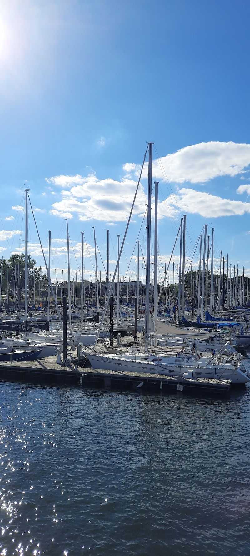 A Harbor Full of Masts and Slow Afternoons
