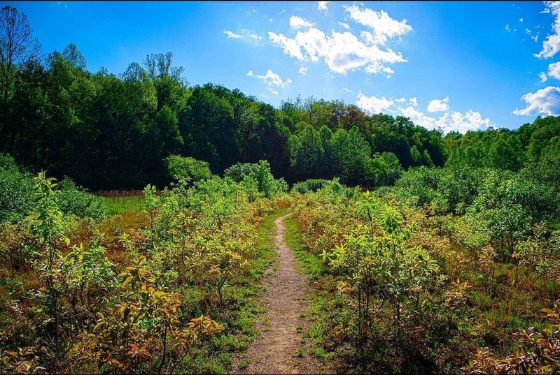 A Hidden Haven On The Edge Of Morgantown