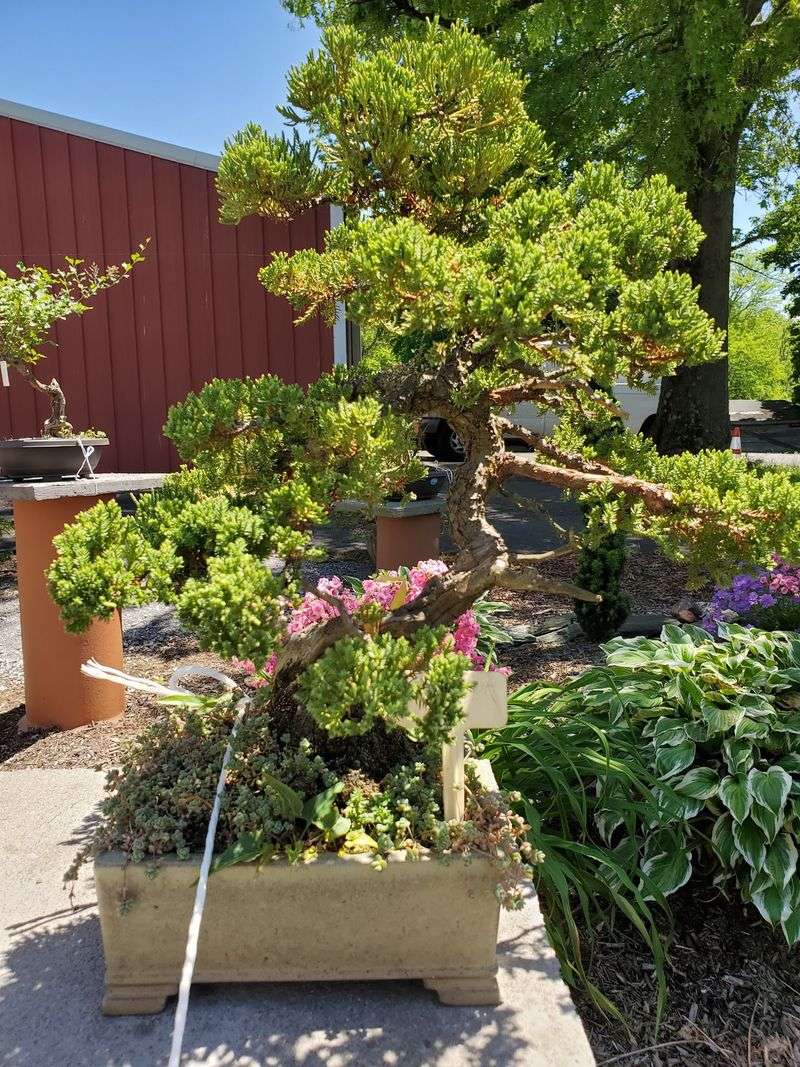 A Living Collection Worth The Country Drive