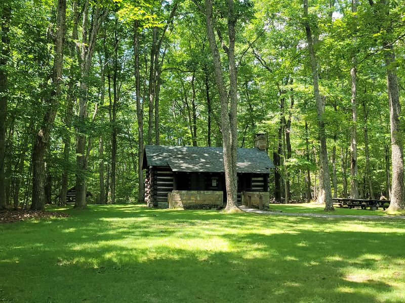 A Log Cabin Museum Full of Found Treasures