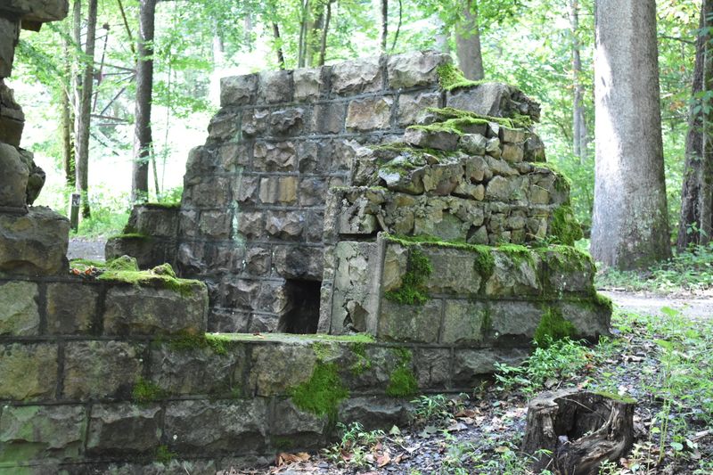 A Long Bank of Beehive Coke Ovens A Long Bank of Beehive Coke Ovens