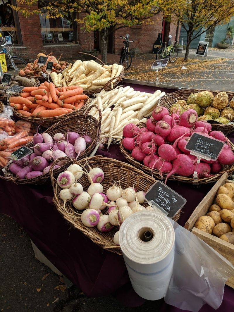 A Market That Refuses To Call It A Season A Market That Refuses To Call It A Season