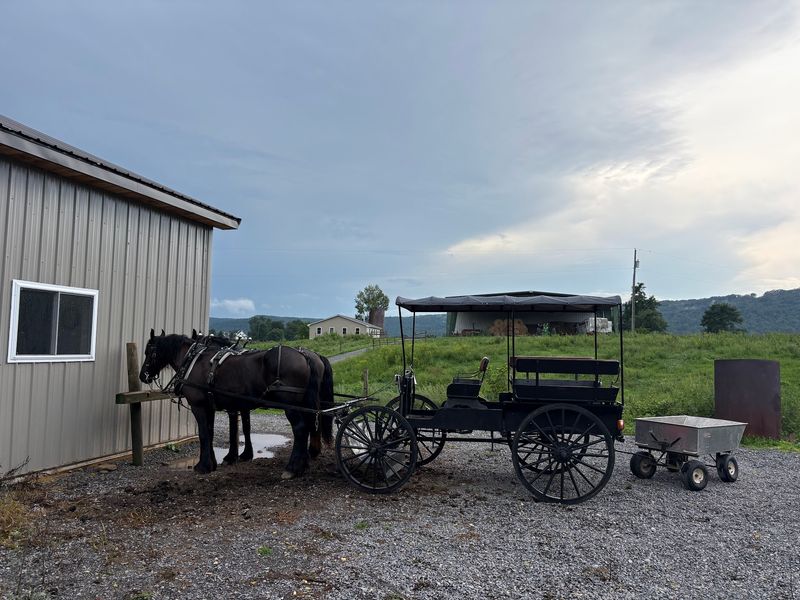 A Market Tucked Deep in the Pocahontas County Hills