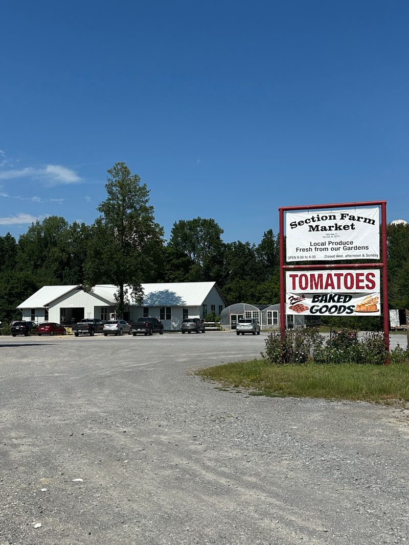 A Mennonite Community You Can Actually Meet A Mennonite Community You Can Actually Meet