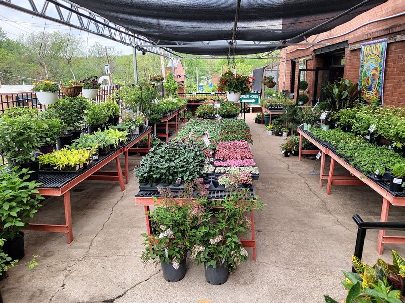 A Nursery That Grew Up Right Alongside The Neighborhood