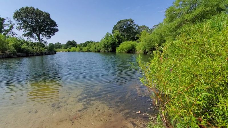A Peaceful Alternative To The Crowded Shore