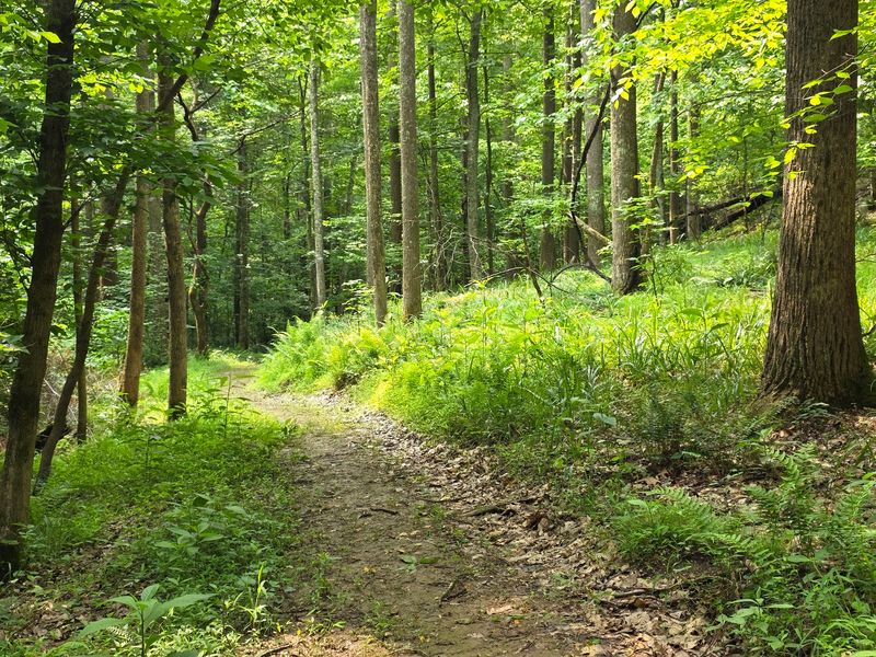 A Peaceful Escape for the Active and the Curious