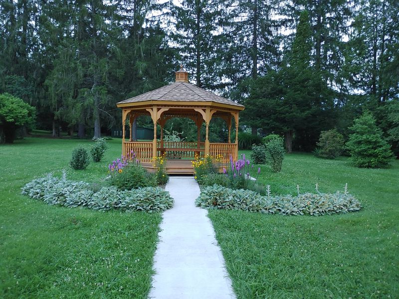 A Peaceful Pause Away From The Noise