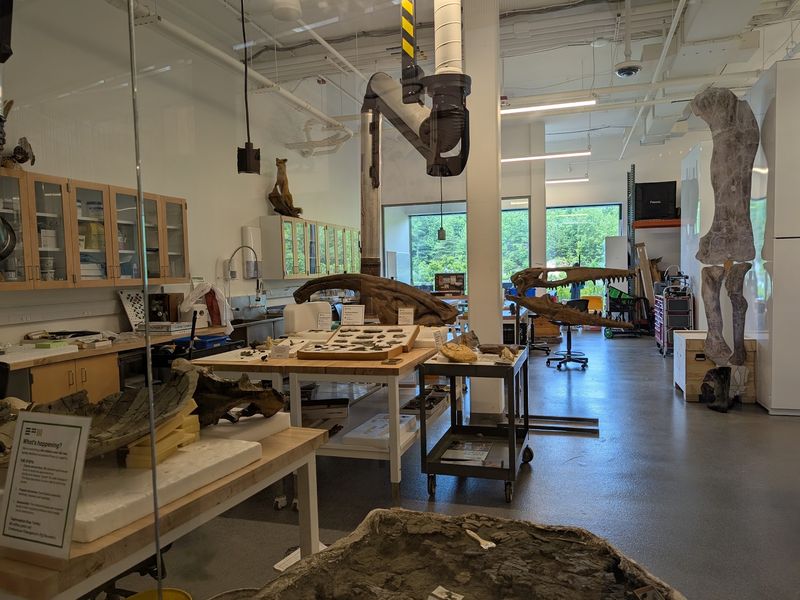 A Peek Inside the Fossil Lab A Peek Inside the Fossil Lab
