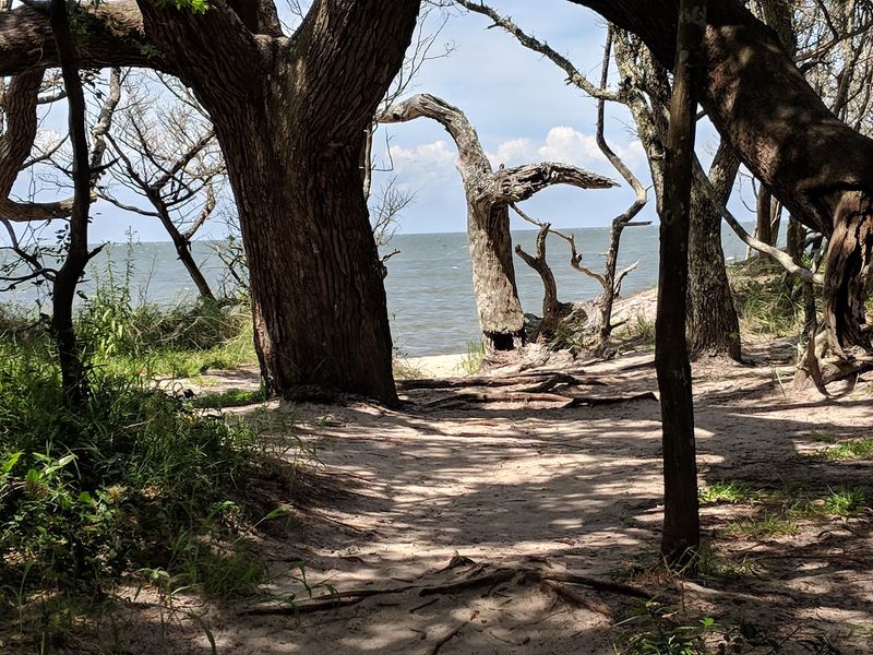 A Preserve That Changes How Ocracoke Feels A Preserve That Changes How Ocracoke Feels