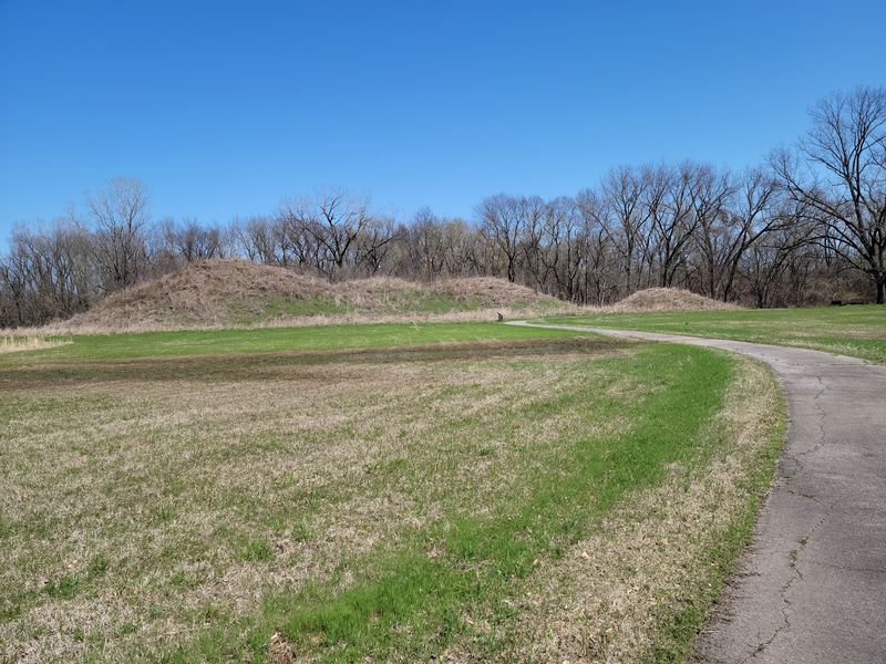A Quiet Field In Le Flore County A Quiet Field In Le Flore County