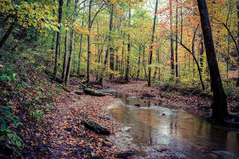 A Quiet Hollow Just Minutes From the Capital City A Quiet Hollow Just Minutes From the Capital City
