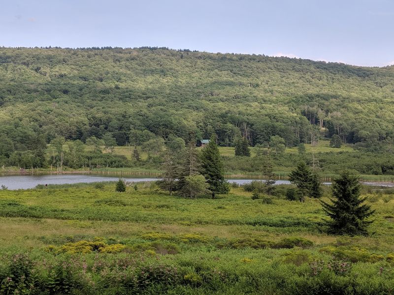 A Quiet Mountain Treasure Worth the Drive
