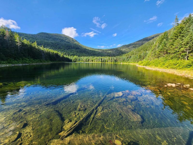 A Quiet Pond With a Backcountry Bed A Quiet Pond With a Backcountry Bed
