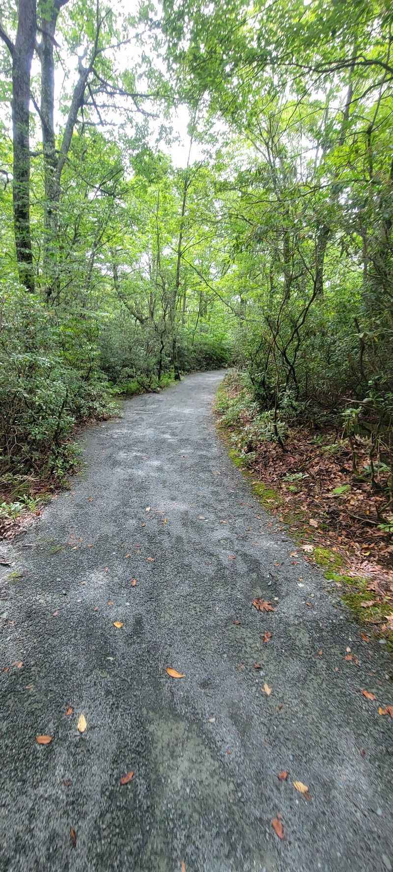 A Quiet Spot Worth Considering For Small Gatherings A Quiet Spot Worth Considering For Small Gatherings