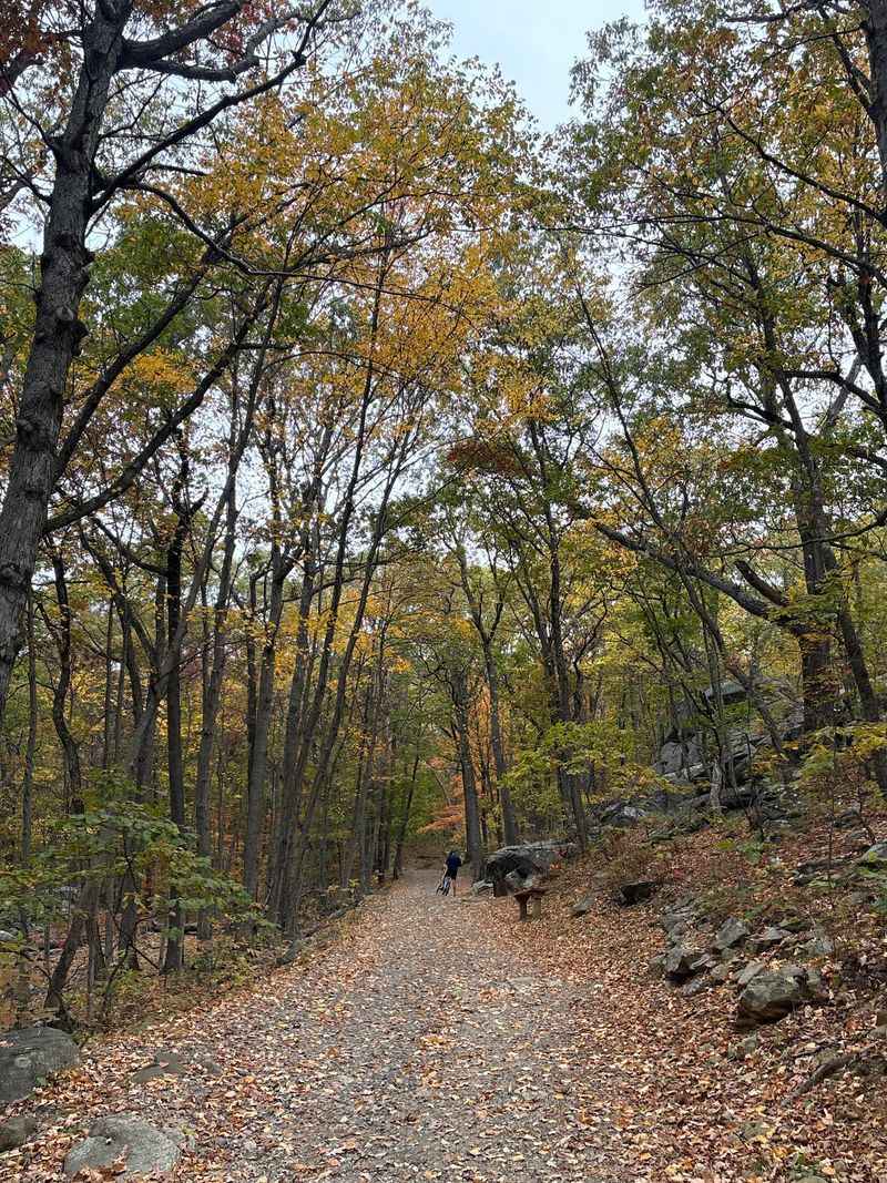 A Quiet Welcome at the Boonton Entrance