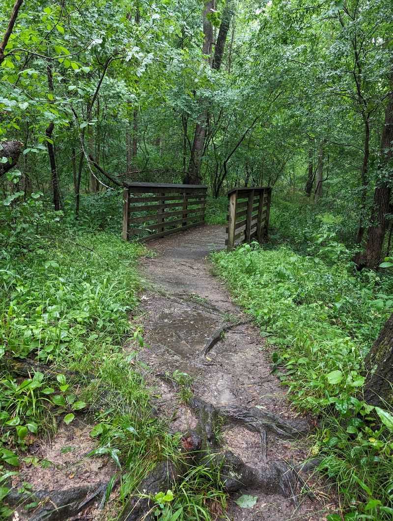 A Revolutionary War Crossing Hiding in Plain Sight