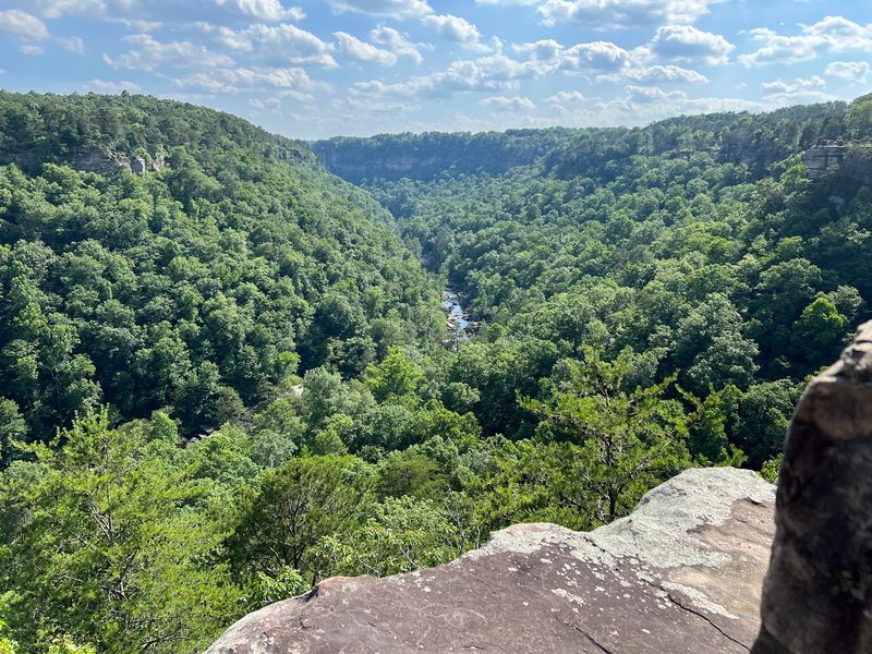 A Rim Road Built Around Overlooks