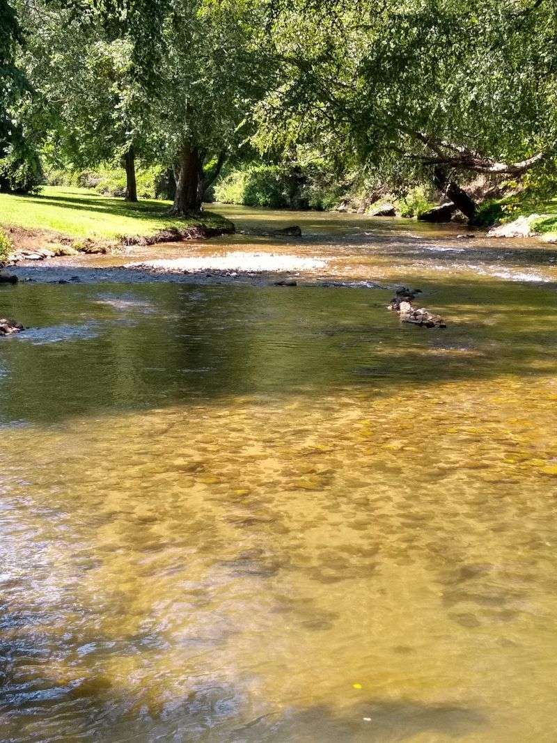 A Riverside Yard Worth Lingering In A Riverside Yard Worth Lingering In