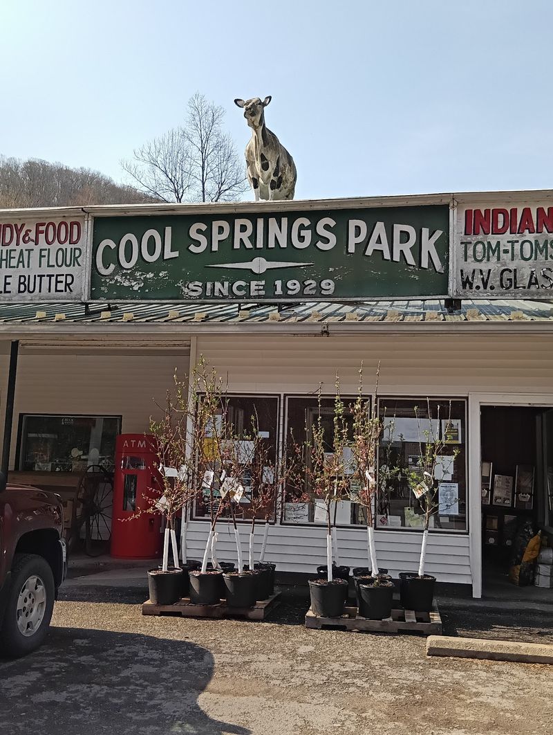 A Roadside Stop Along Route 50