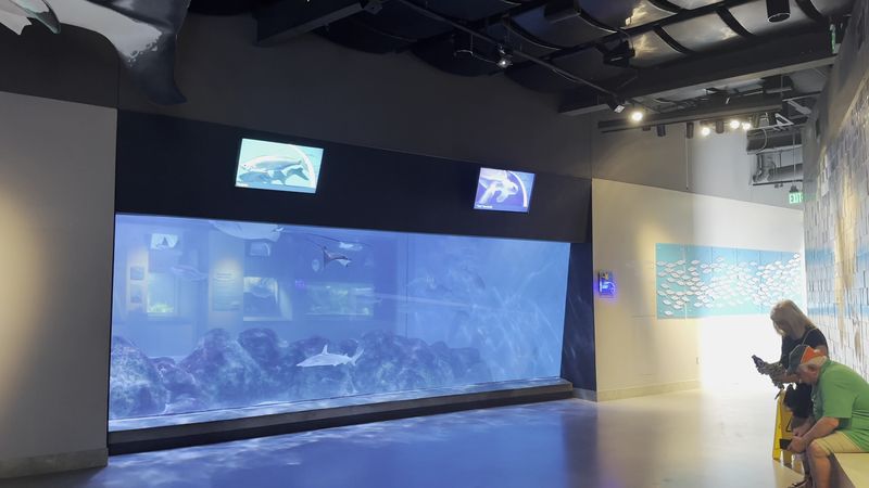 A Sea Life Center Tucked Inside a Century-Old Zoo A Sea Life Center Tucked Inside a Century-Old Zoo