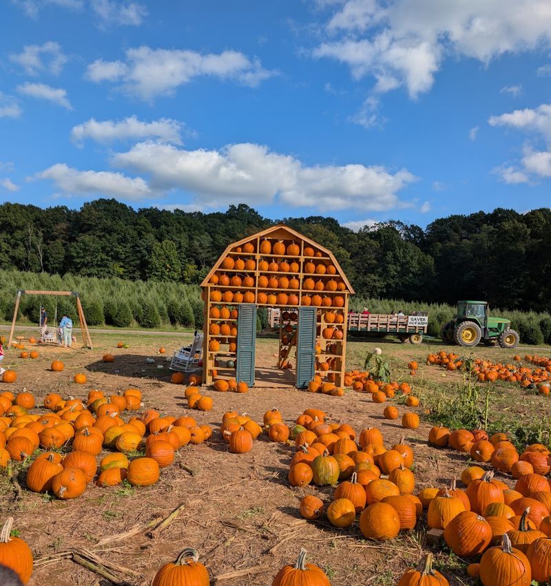 A Seventh Generation Farm That Still Feels Like a Family Backyard A Seventh Generation Farm That Still Feels Like a Family Backyard