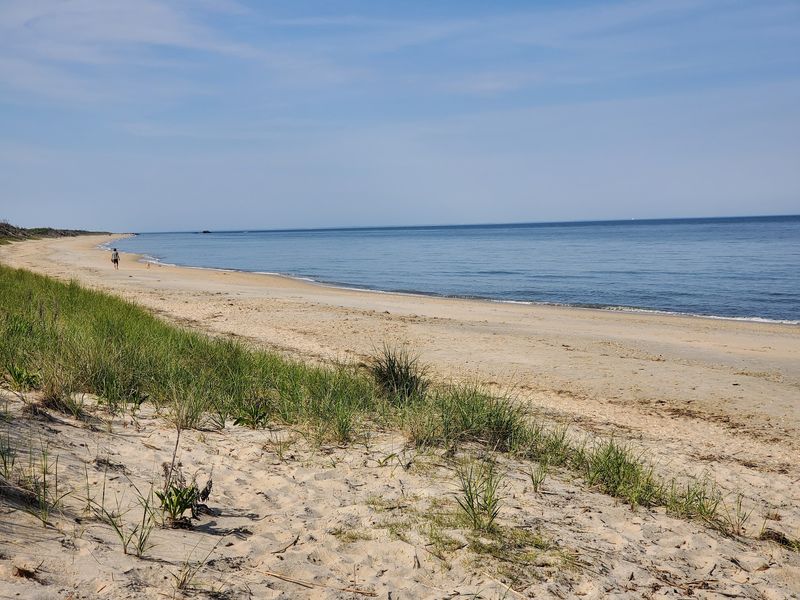 This Wild New Jersey Beach Feels A World Away From The Usual Jersey Shore