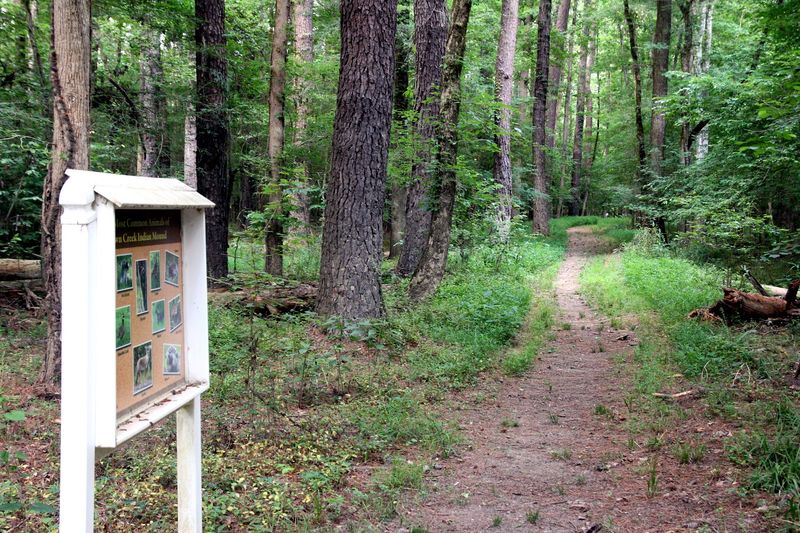 A Short Nature Trail Along the River Bottom A Short Nature Trail Along the River Bottom