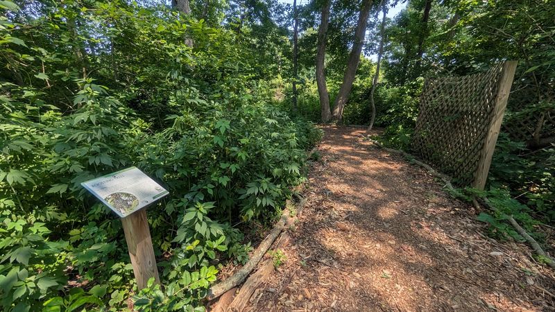 A Short Trail With More Going On Than Expected