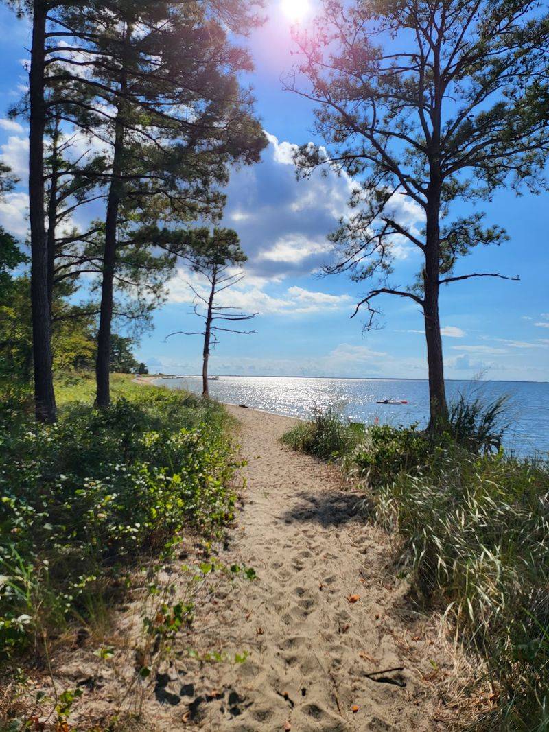 A Short Woodland Path Leads to the Sand