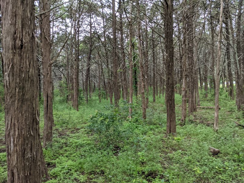 A Sixteen-Acre Grid Tucked Inside the Wichita Mountains