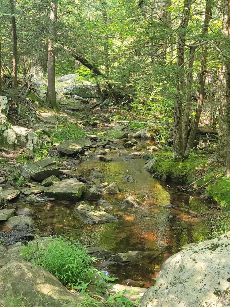 A Slice Of The Appalachian Trail Runs Through A Slice Of The Appalachian Trail Runs Through