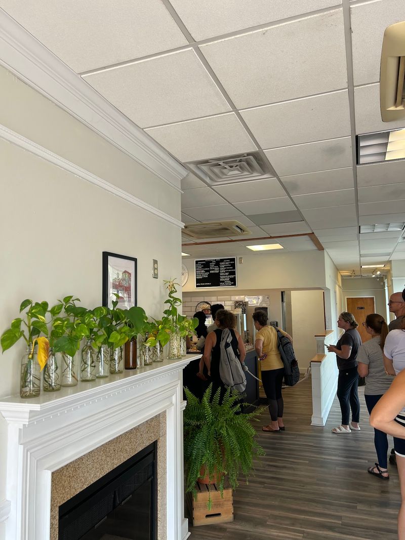 A Small Bright Room Full Of Plants And Calm