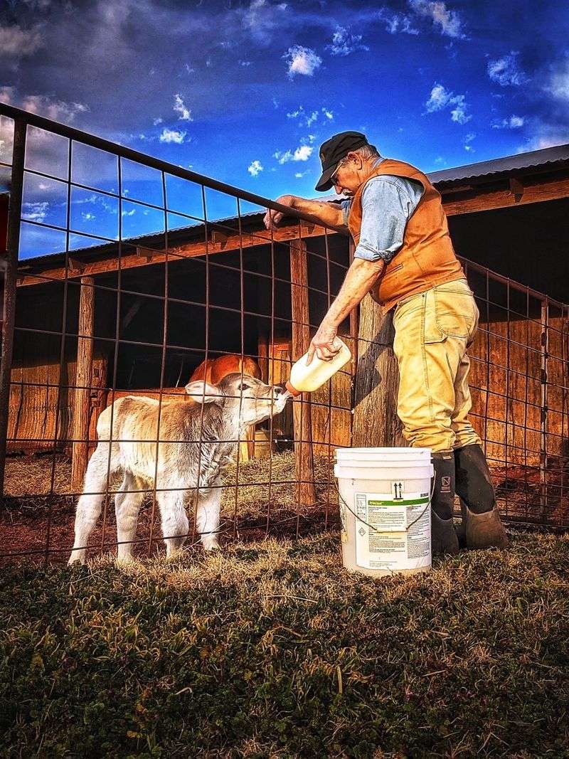 A Small Dairy With a Big Following