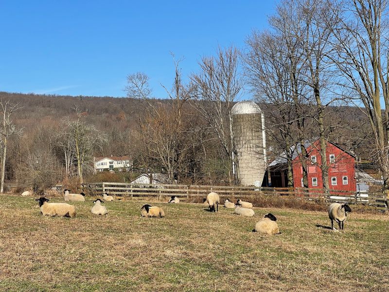 A Small Farm Tucked Into Sussex County Hills