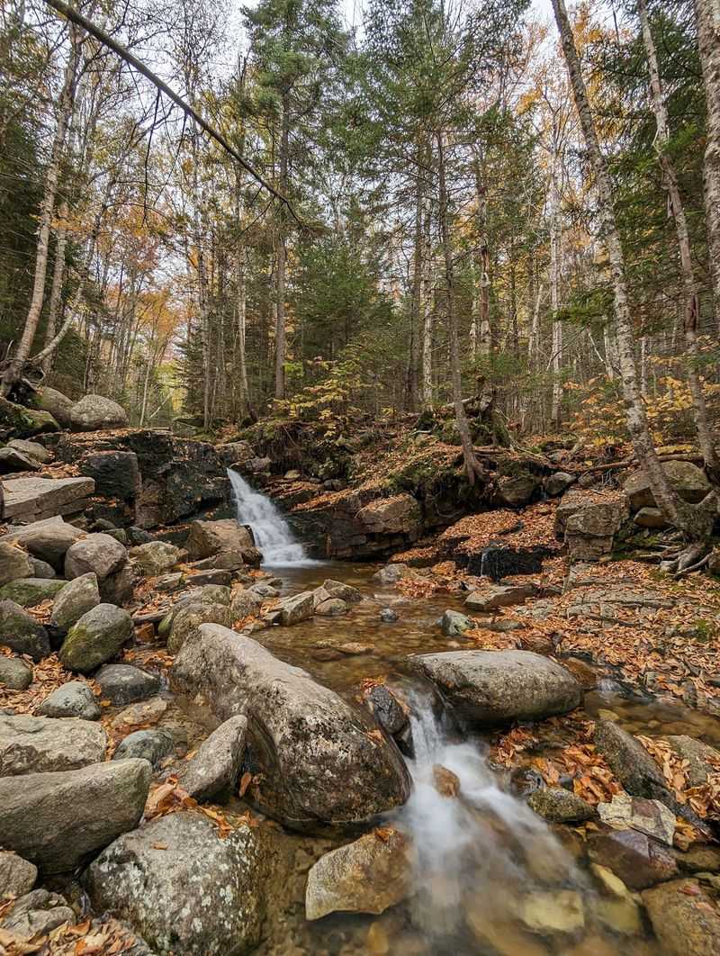 A Stream That Walks With You A Stream That Walks With You