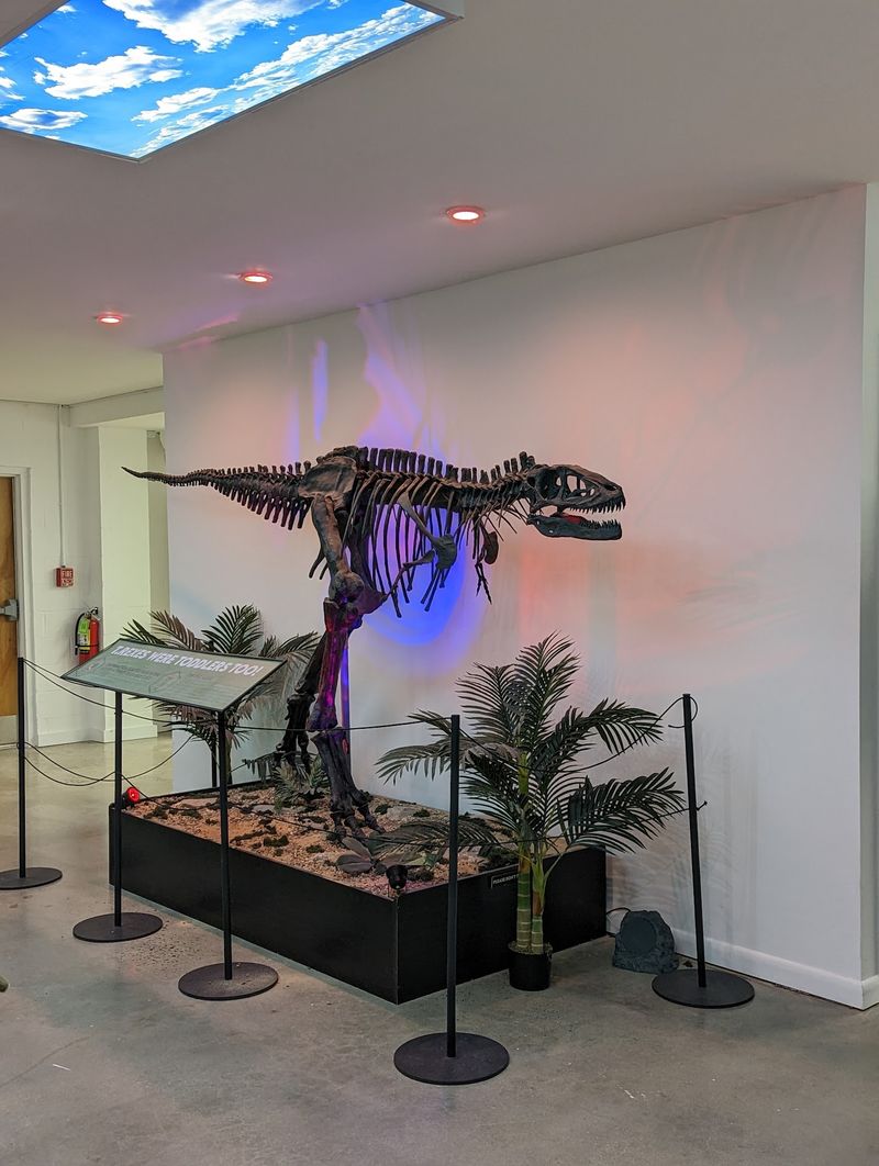 A Toddler T. Rex And Its Nest A Toddler T. Rex And Its Nest