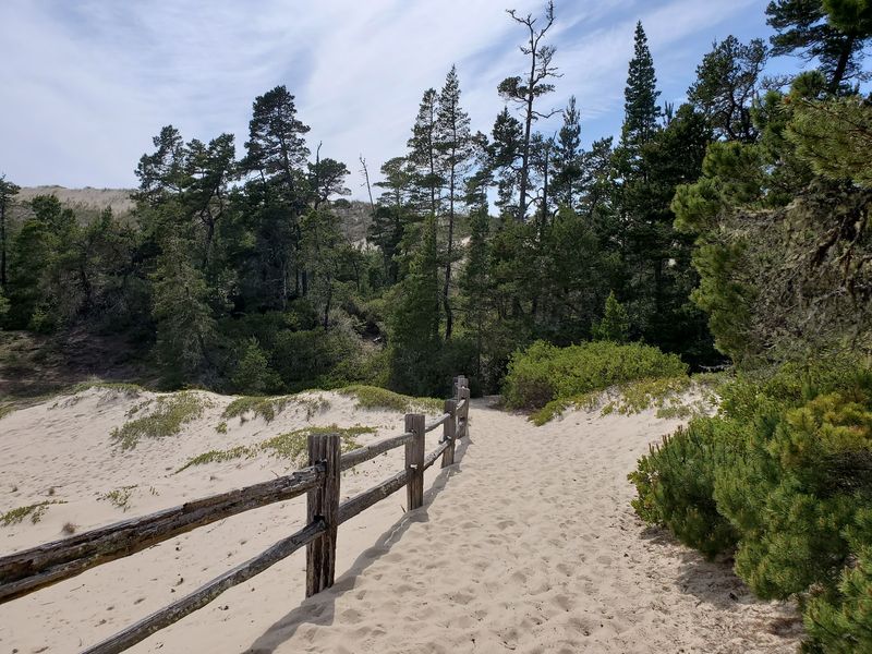 A Trail Named for a Dune Defender A Trail Named for a Dune Defender