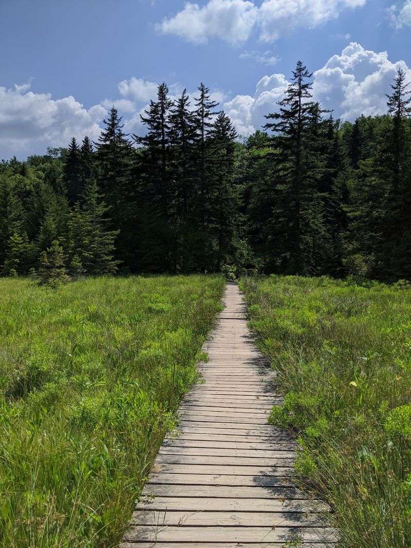 A Trail Network for Every Kind of Hiker