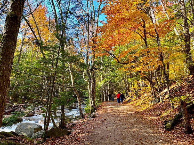 A Trail So Easy Your Grandma Might Beat You A Trail So Easy Your Grandma Might Beat You
